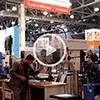 Фотоотчёты с осенних выставок
